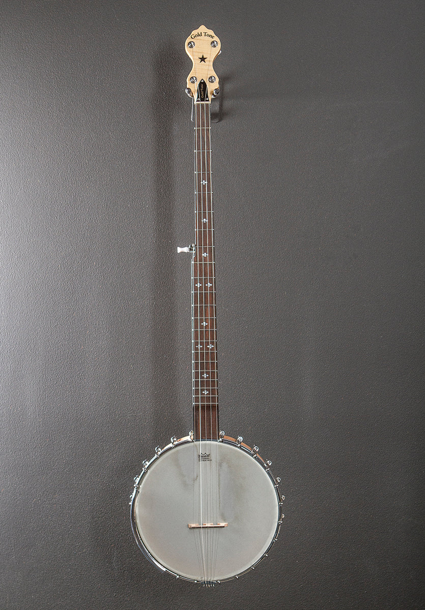 MM-150LN Maple Mountain Openback Long Neck Banjo, Recent