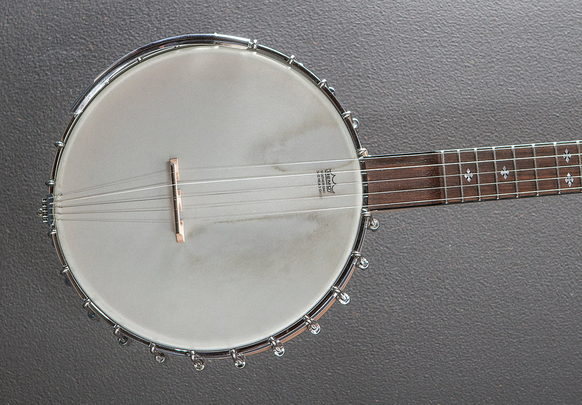 MM-150LN Maple Mountain Openback Long Neck Banjo, Recent