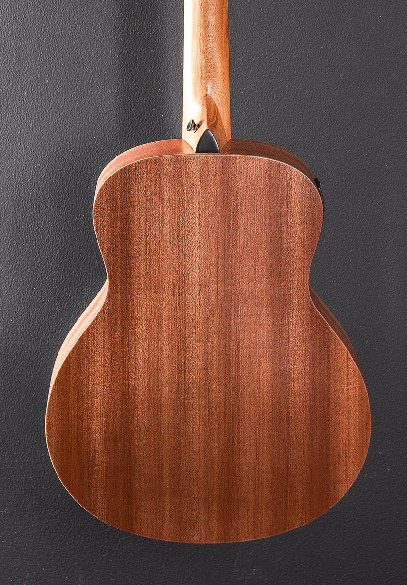 GS Mini-E Special Edition &