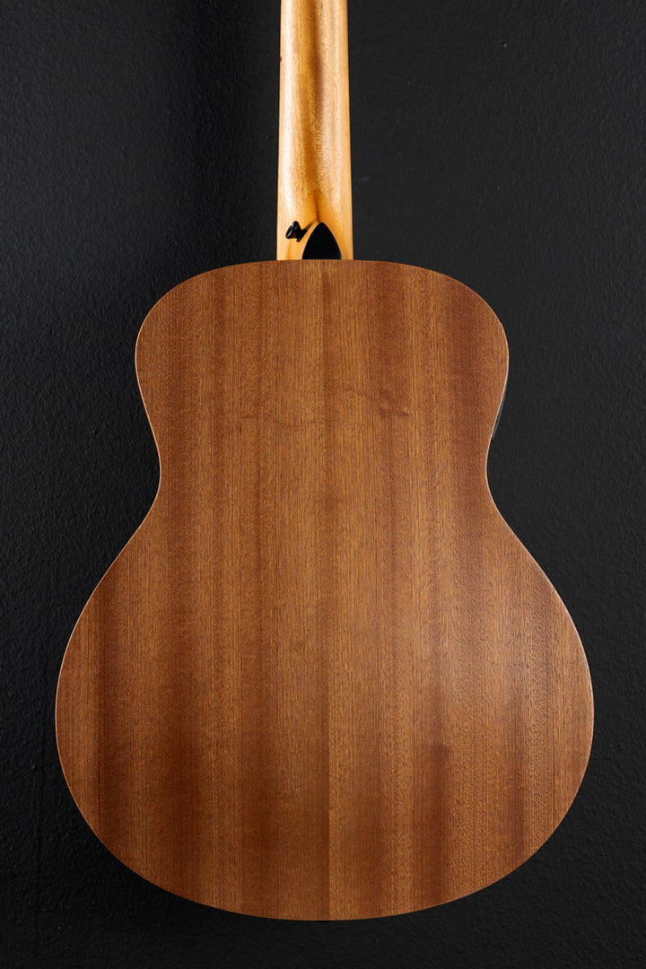 Used GS Mini-E Special Edition &