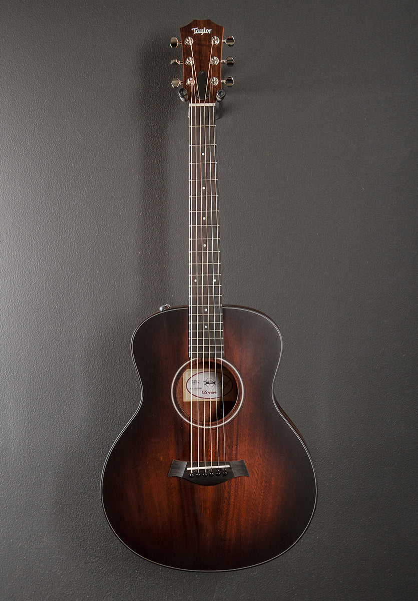 GS Mini-E Koa Plus '25