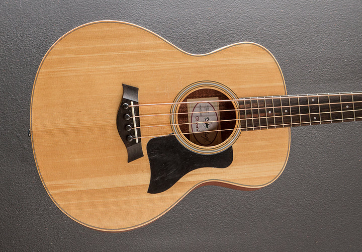 GS Mini-E Bass '24