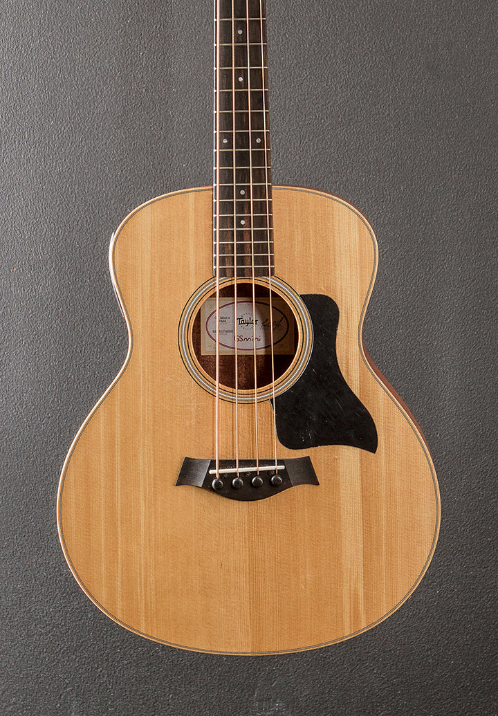 GS Mini-E Bass '24
