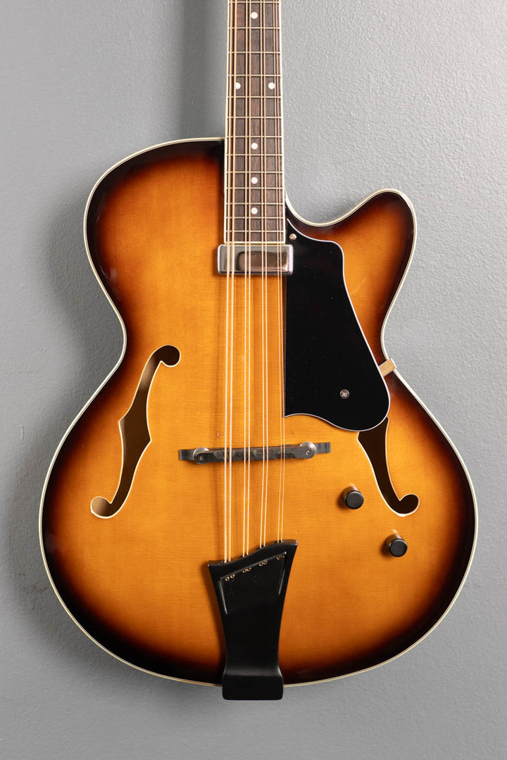 Mandocello, Recent