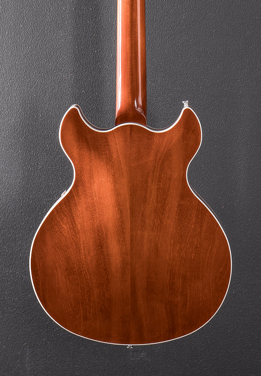 Standard Series Comet - Sunburst