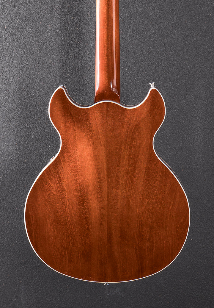 Standard Series Comet - Sunburst