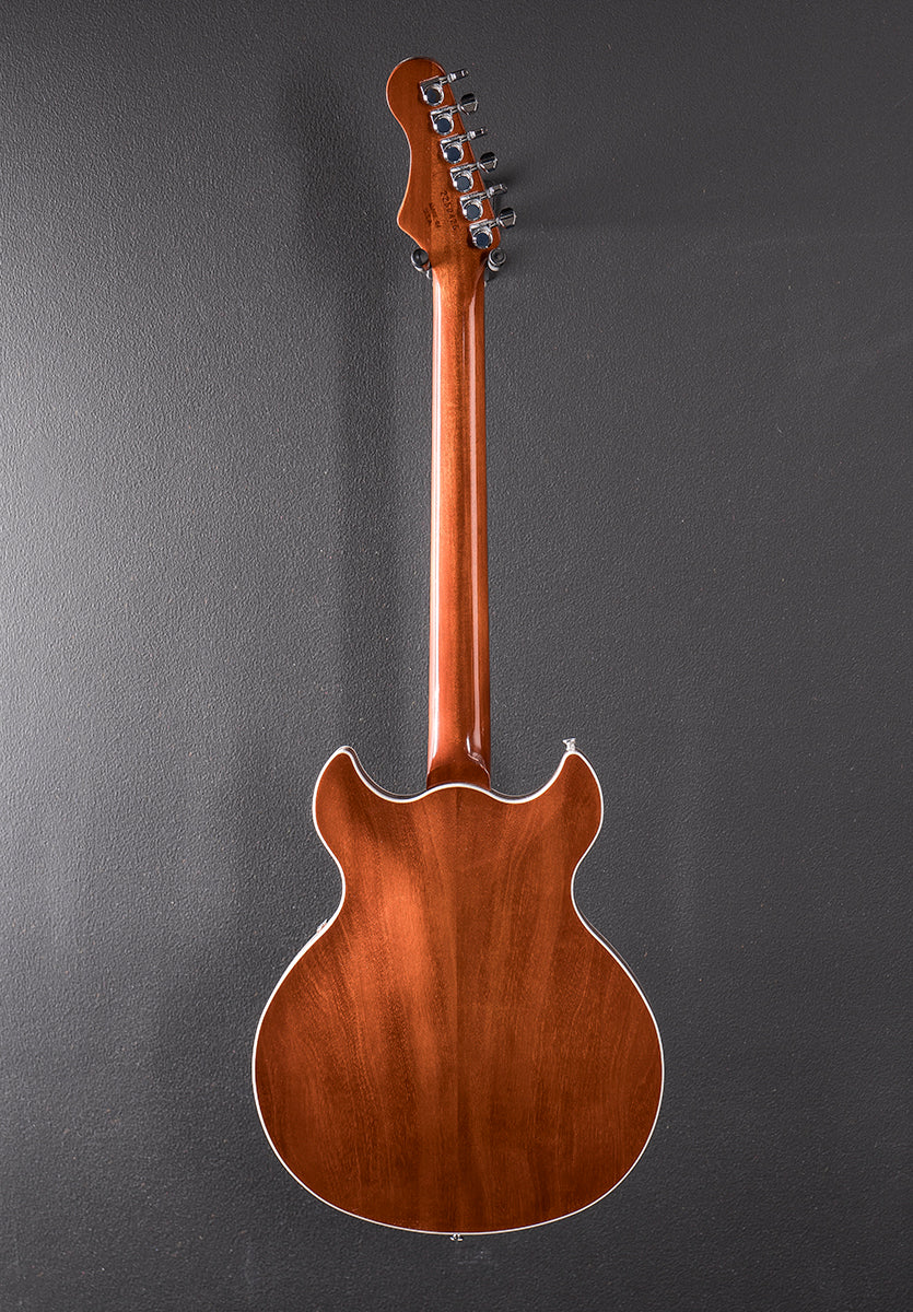 Standard Series Comet - Sunburst