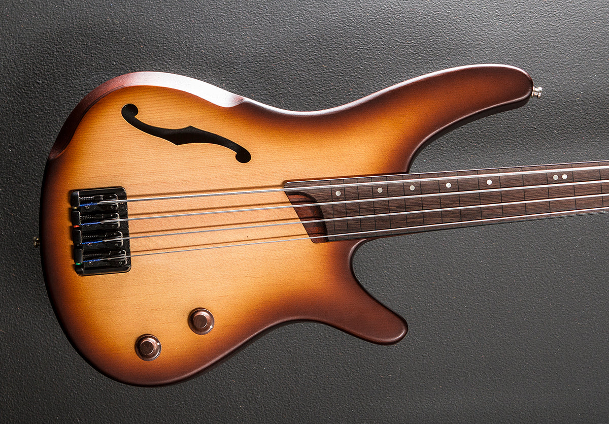 SRH500F Fretless Bass '23 – Dave's Guitar Shop