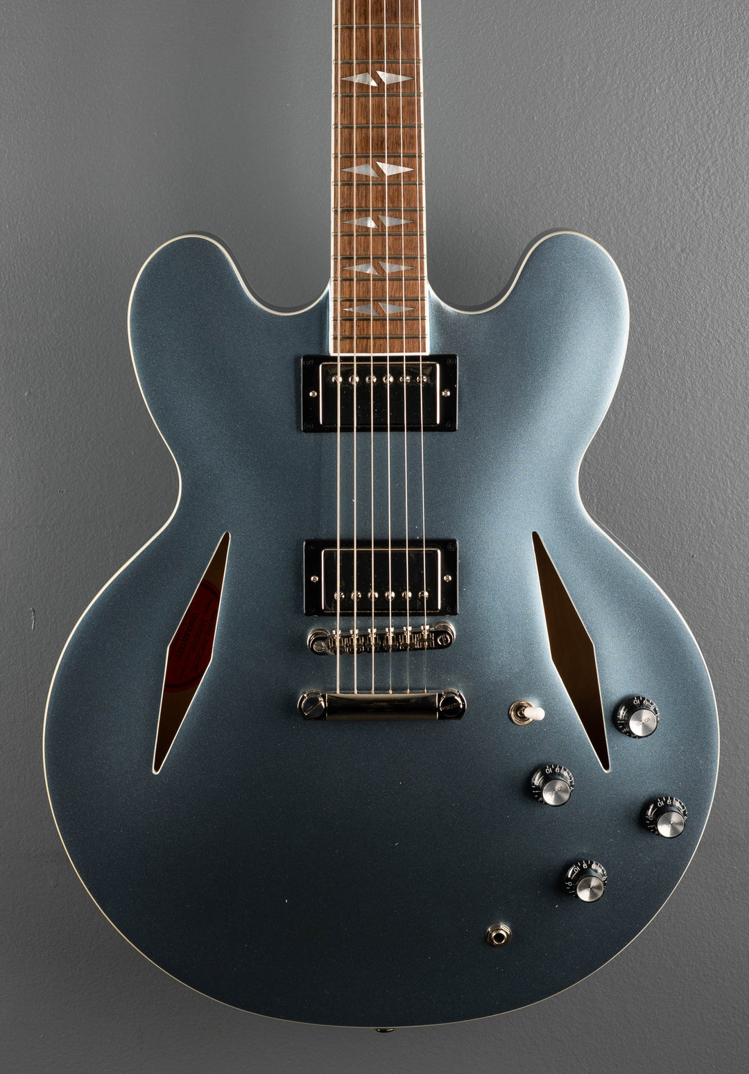 Dave Grohl DG-335 &