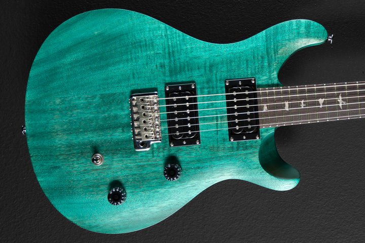 SE CE-24 Standard Satin '24