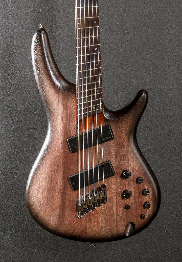 SRC6MS Bass - Black Stained Burst Low Gloss