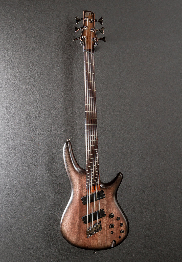 SRC6MS Bass - Black Stained Burst Low Gloss