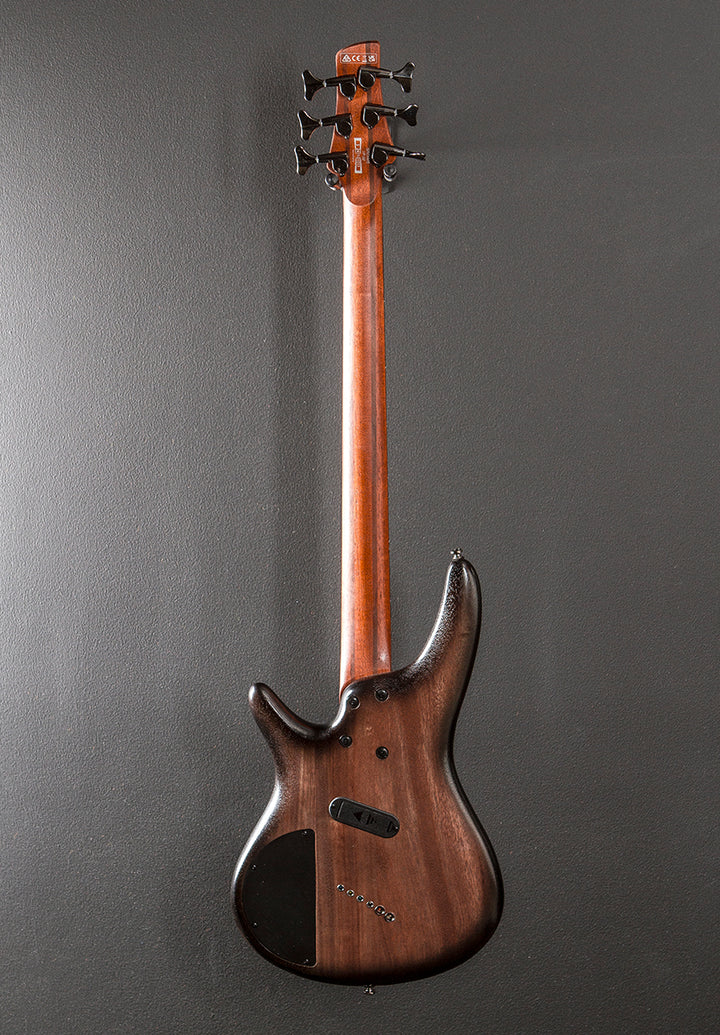 SRC6MS Bass - Black Stained Burst Low Gloss
