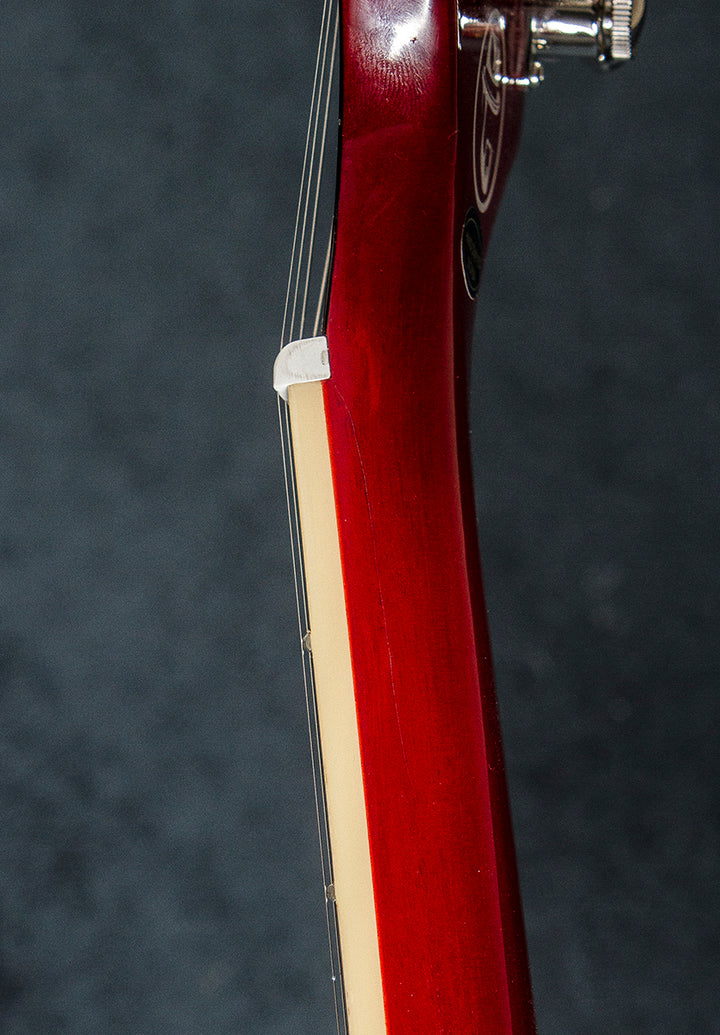 Marty Schwartz ES-335 '24