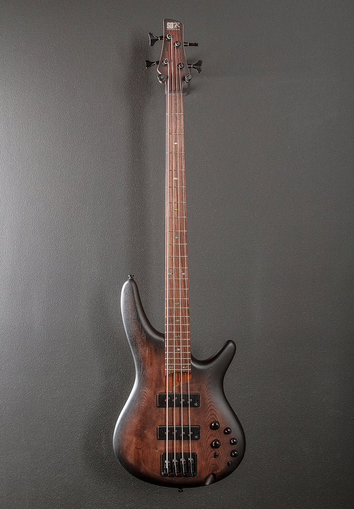 SR600E Bass - Antique Brown Stained Burst