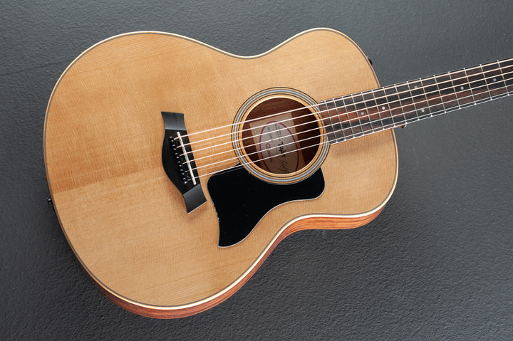 GS Mini-e Rosewood Plus (All Gloss) '25