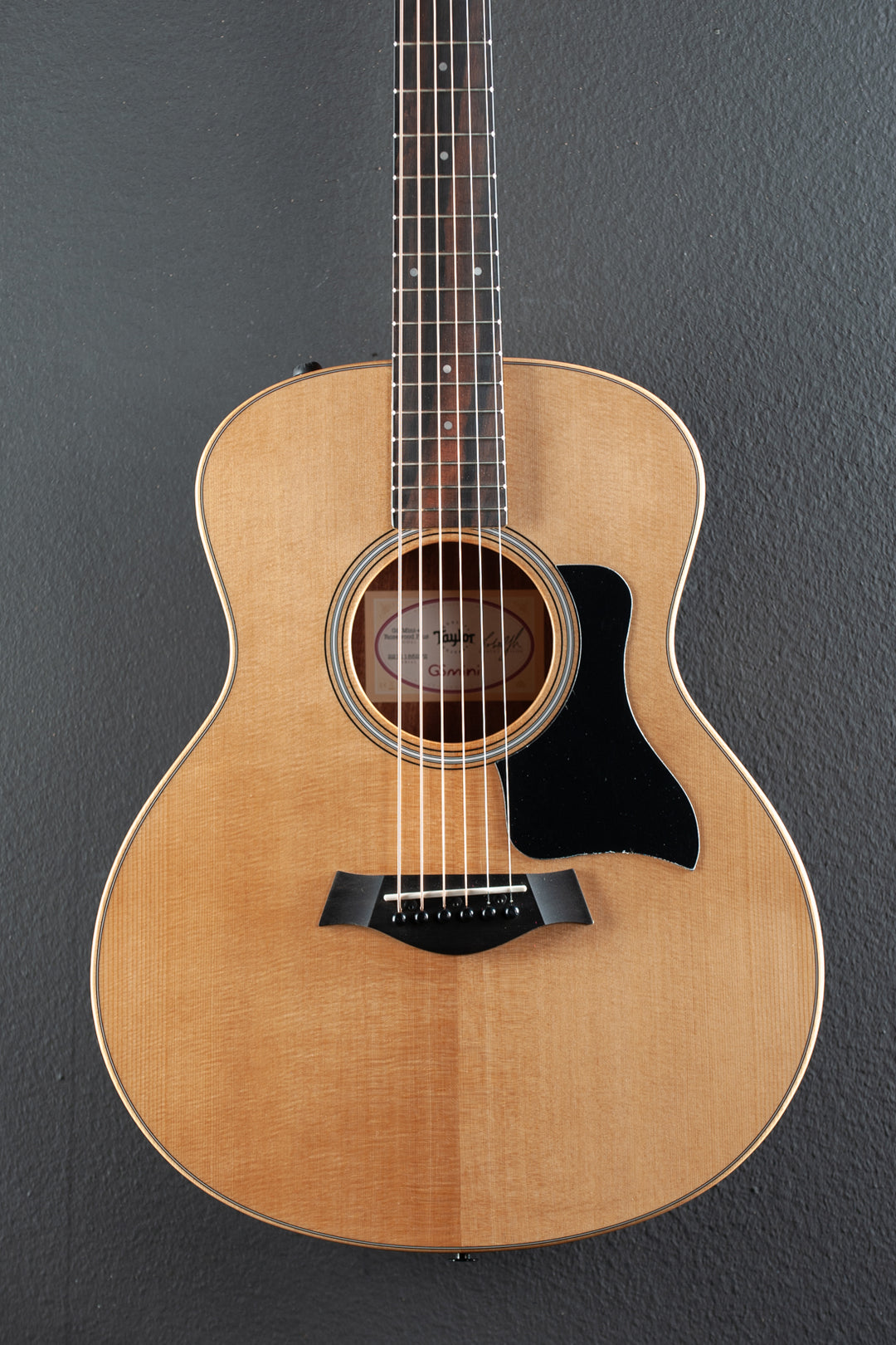 GS Mini-e Rosewood Plus (All Gloss) '25