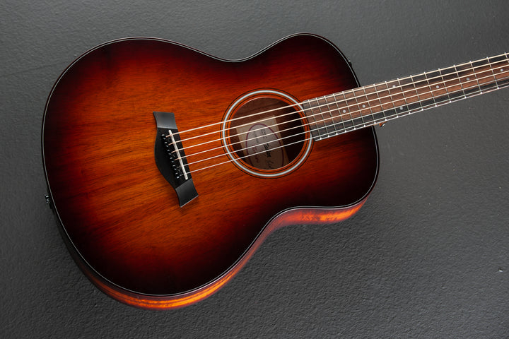 GS Mini-E Koa Plus '25