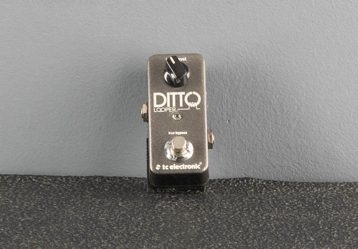 Ditto Looper, Recent