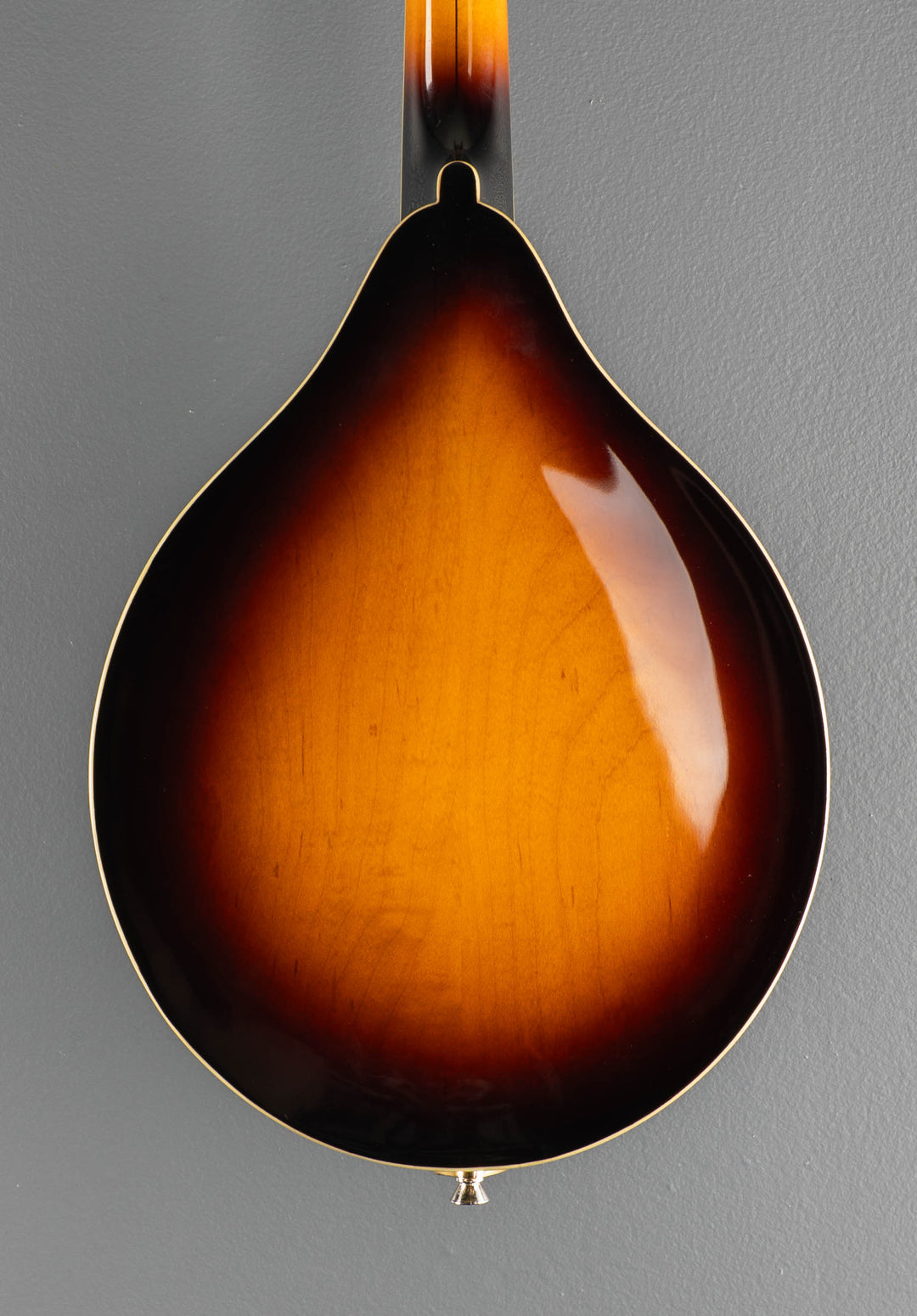 TCMA43SWK Mandolin, Recent