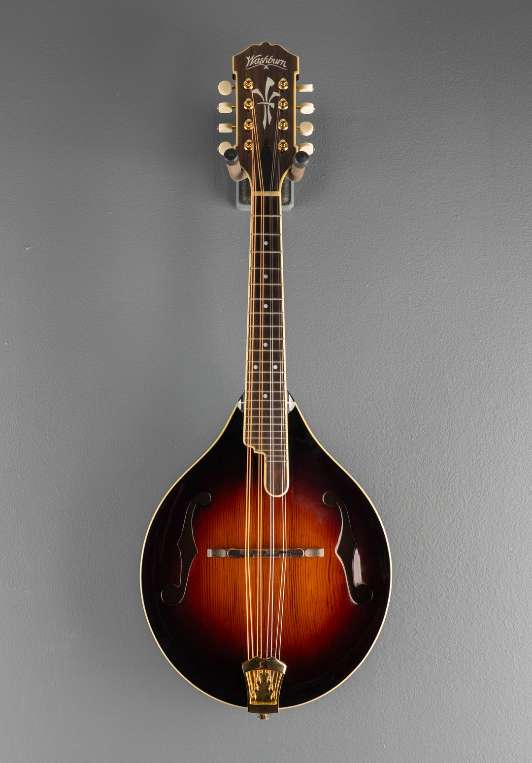 TCMA43SWK Mandolin, Recent