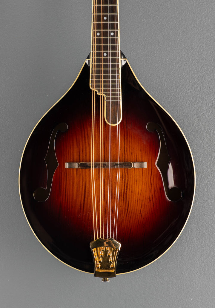 TCMA43SWK Mandolin, Recent