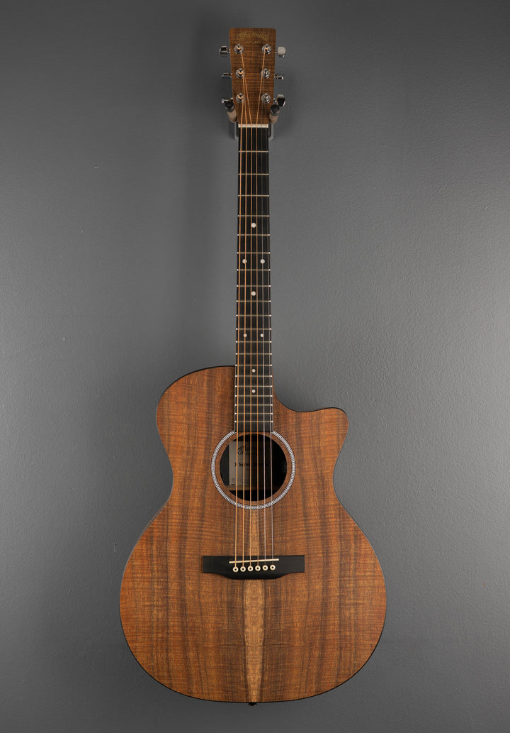 X Series Special GPC-X1E, &