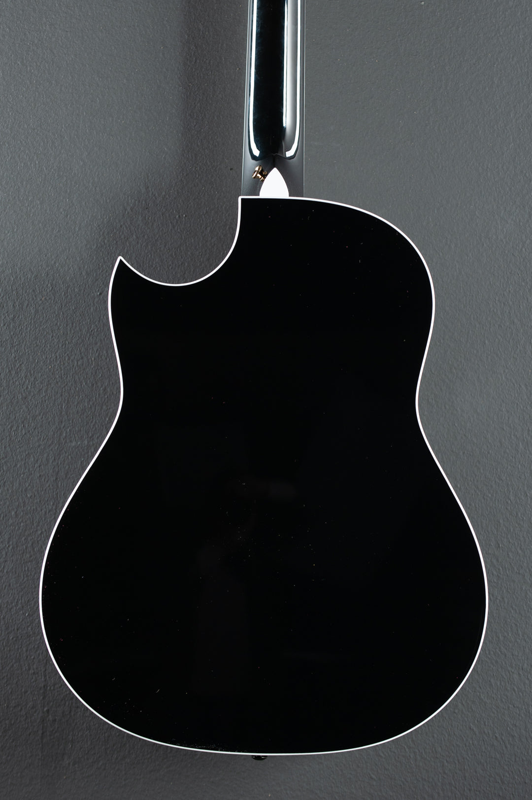 Custom GP 10 String Bajo Quinto