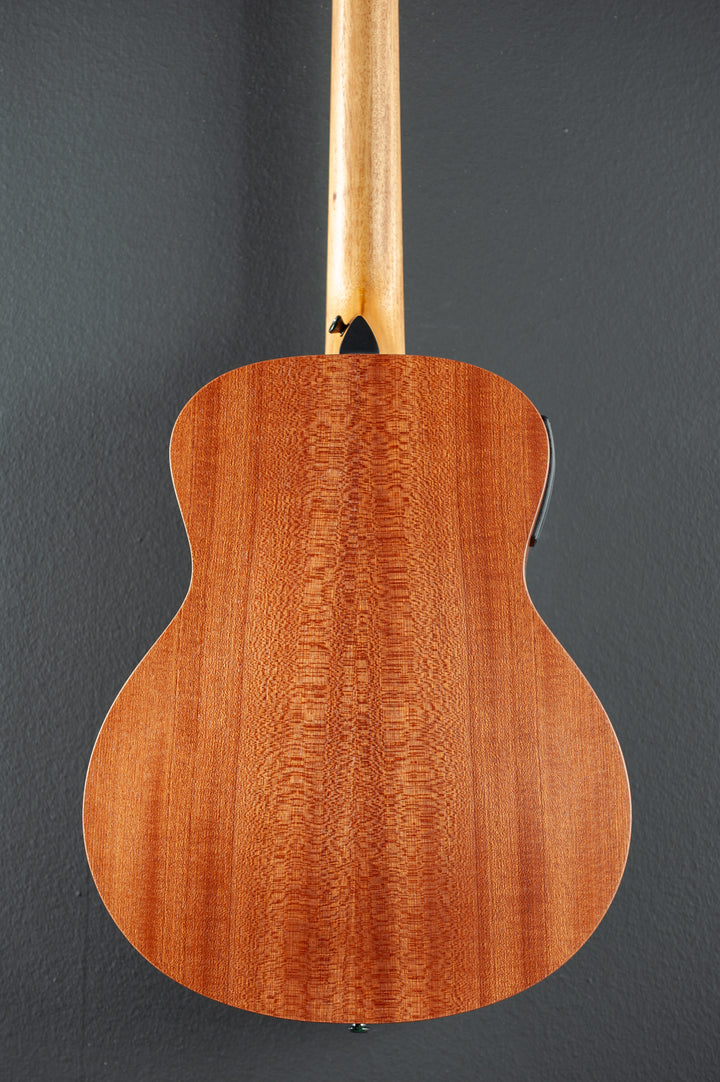 GS Mini-E Special Edition