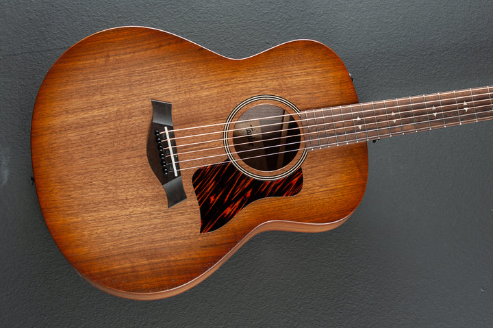 American Dream AD21E Special Edition