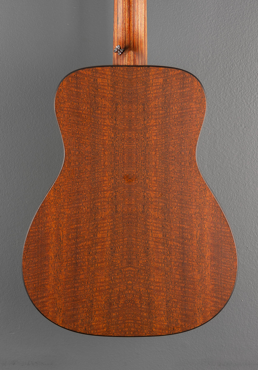 LX1 Little Martin, Recent