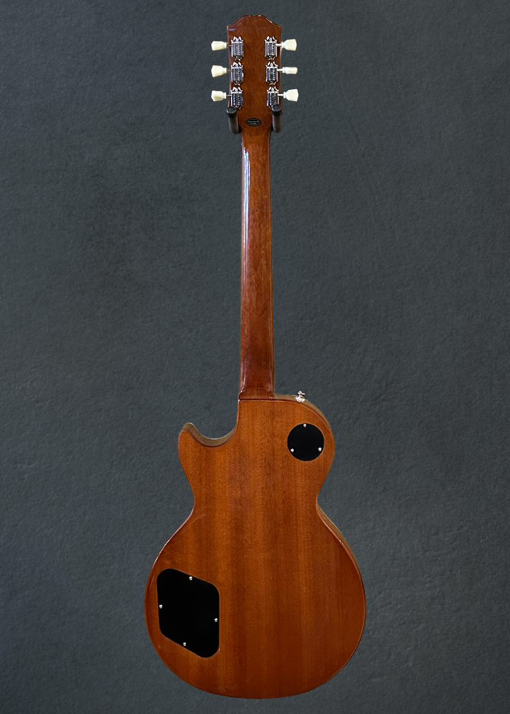"Inspired by Gibson" Les Paul Standard 50&
