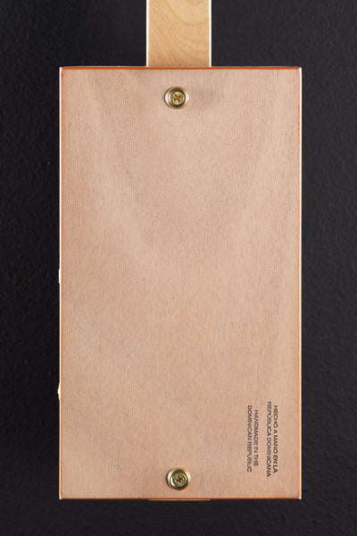 AVO XO Electric Cigar Box Slide Guitar