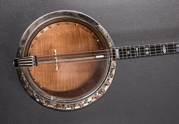 Model 3282 Plectrum Banjo, Recent
