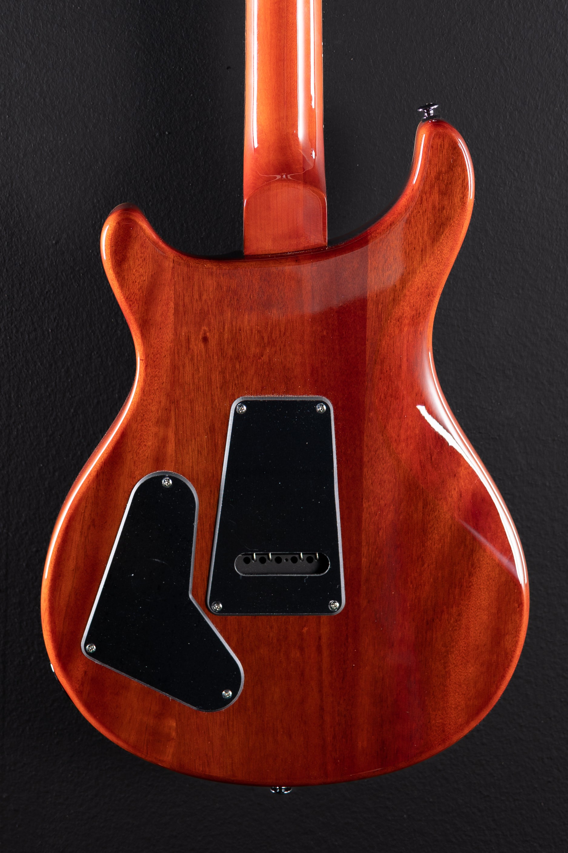 SE Custom 22 '21 – Dave's Guitar Shop