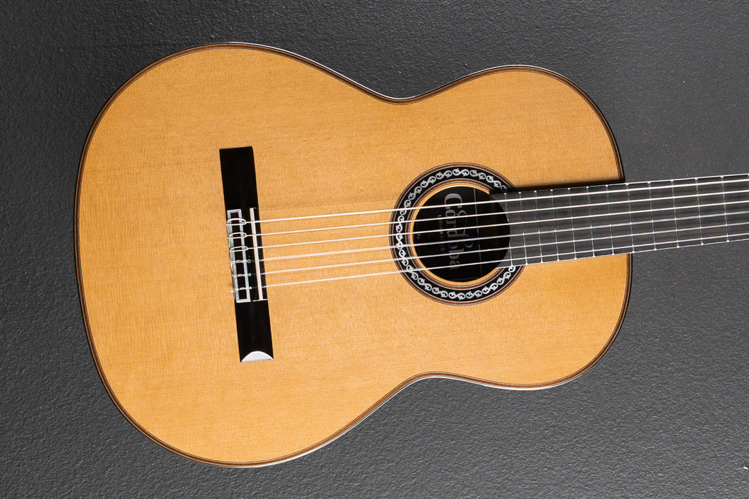 Luthier Series C10, Recent