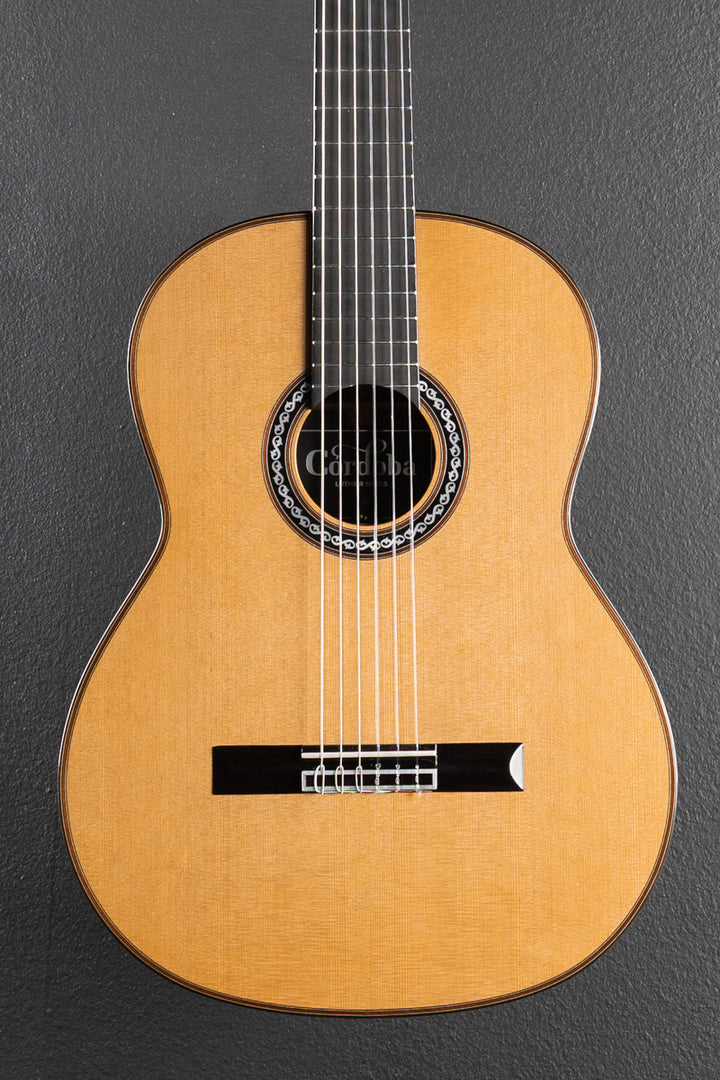 Luthier Series C10, Recent
