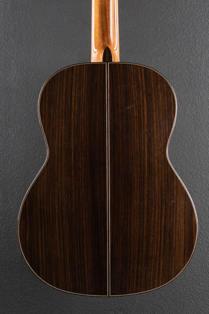 Luthier Series C10, Recent
