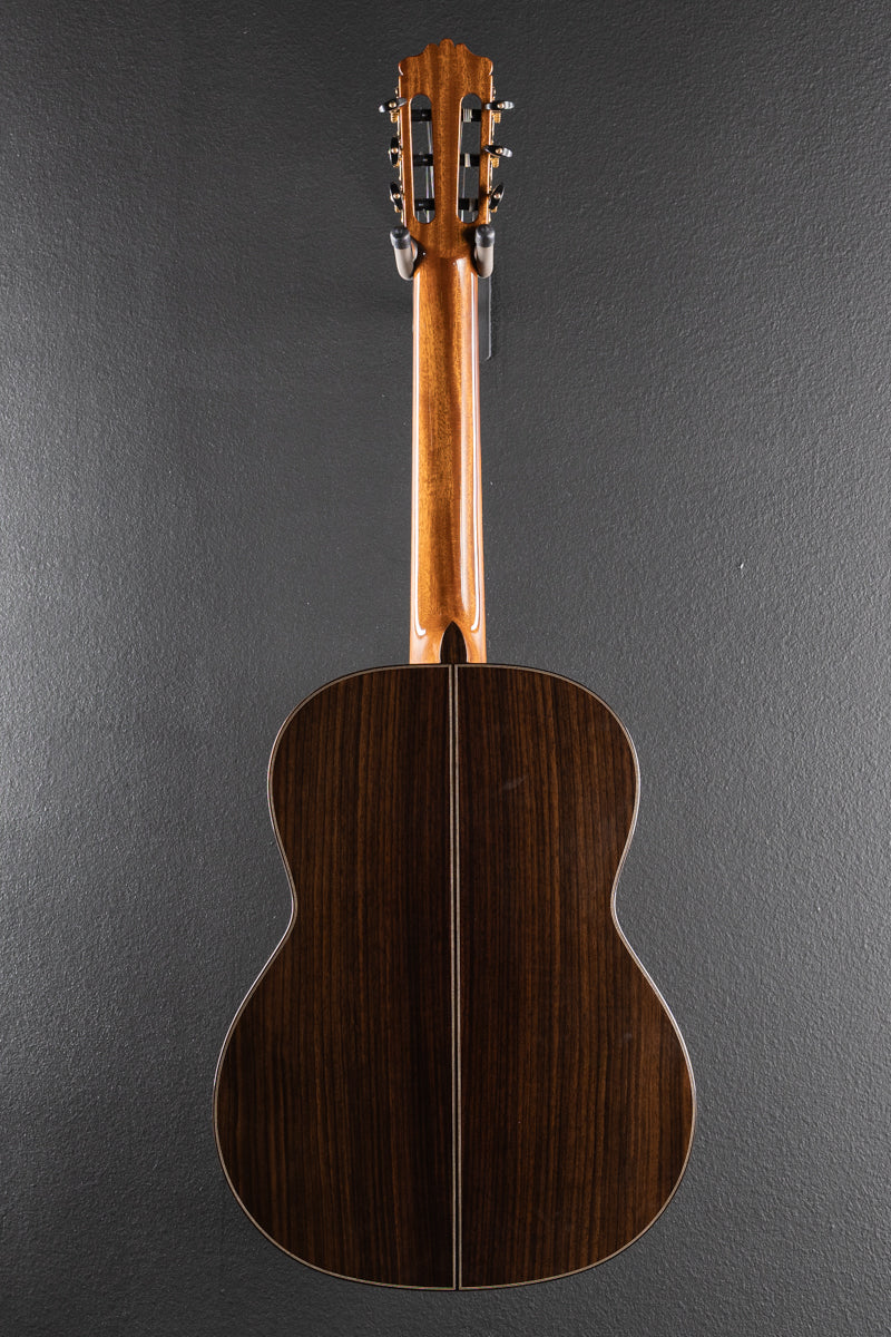Luthier Series C10, Recent