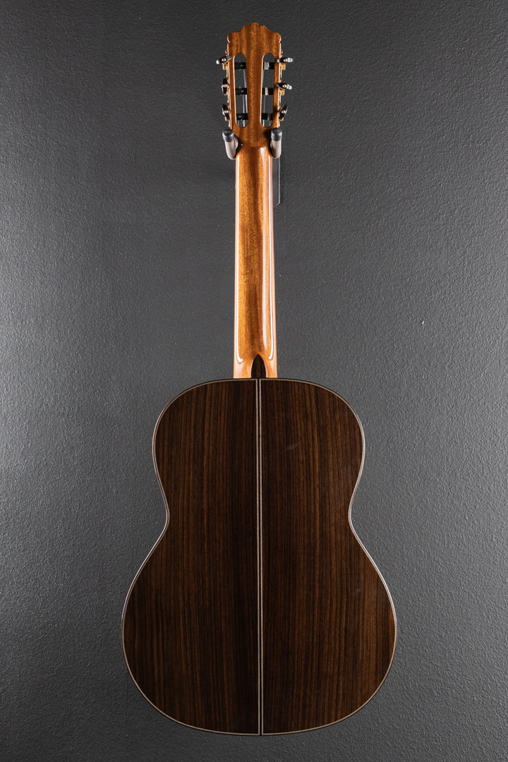 Luthier Series C10, Recent