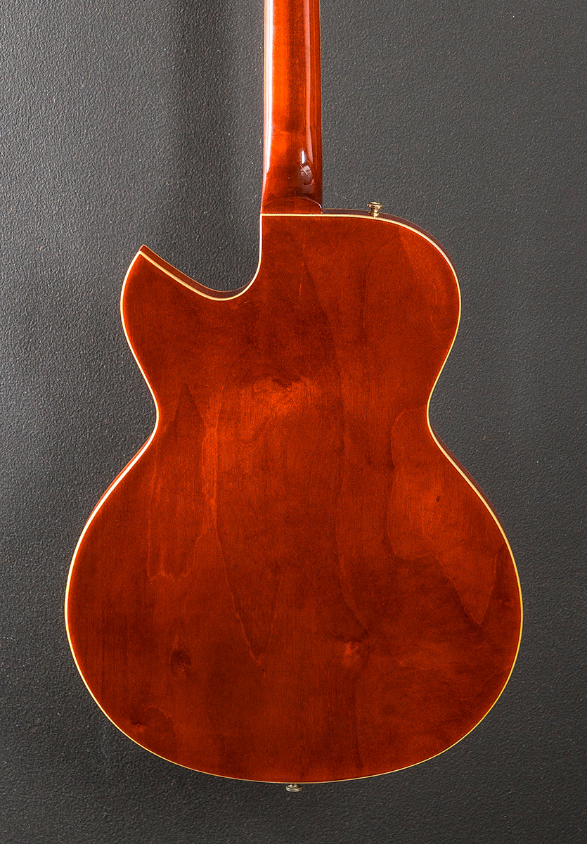 Jim Triggs TRG-1 Thinline, Recent