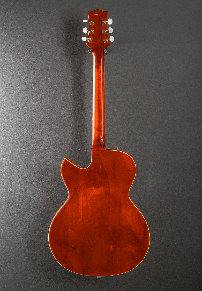 Jim Triggs TRG-1 Thinline, Recent