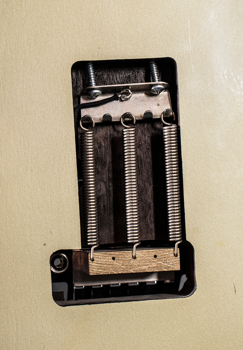 Corvus I w/added Floyd Rose &