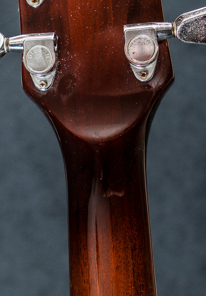SG Standard '73