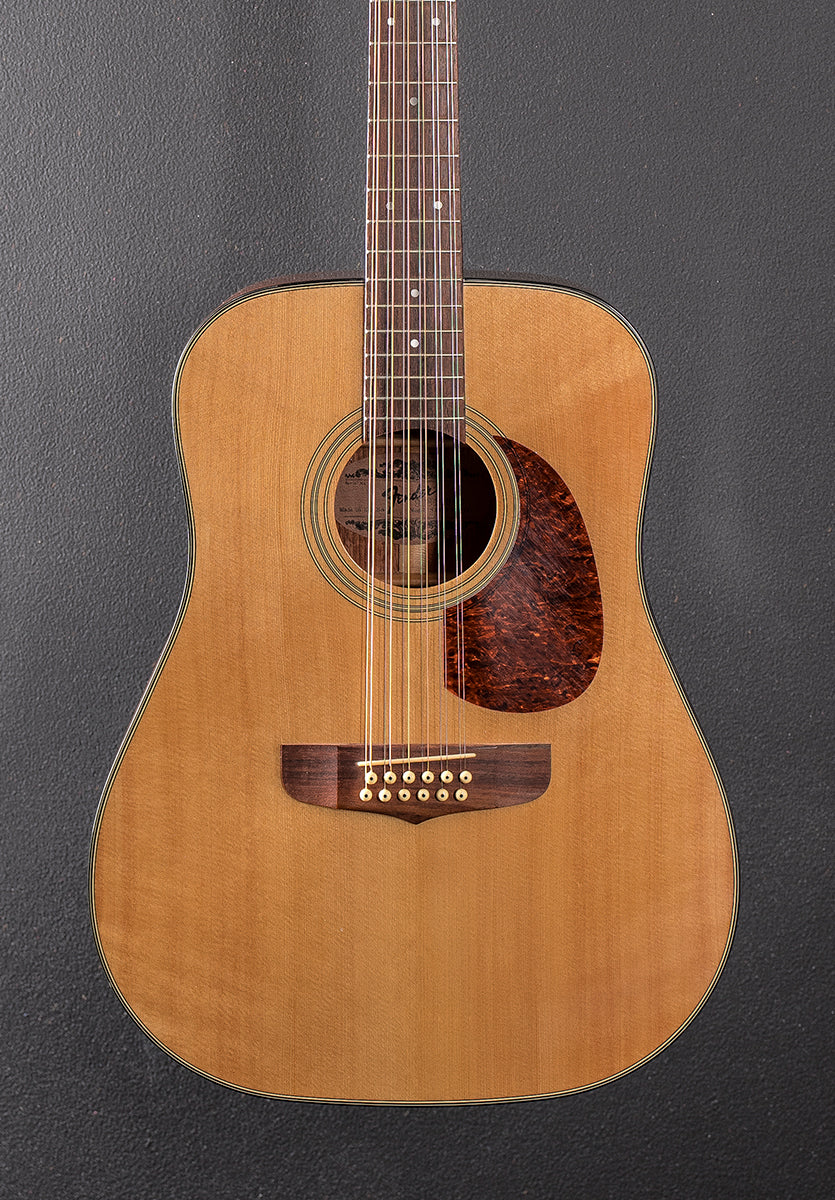 Used Santa Maria 12 String &
