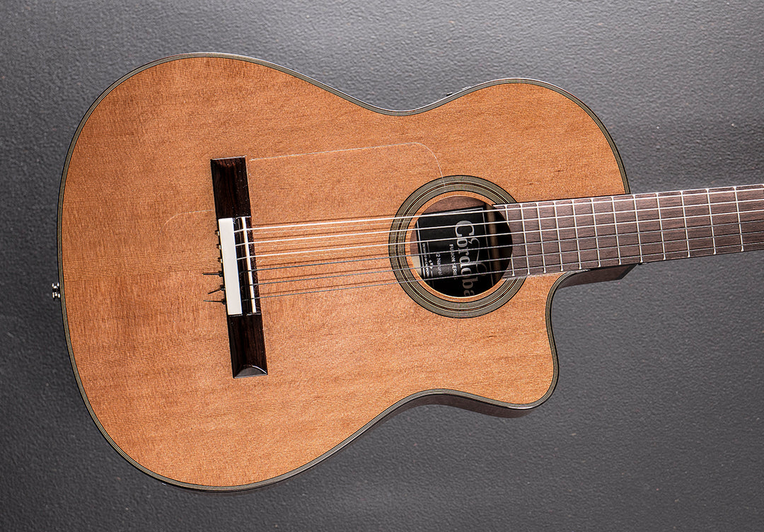 Fusion Series 12 Classical, Recent
