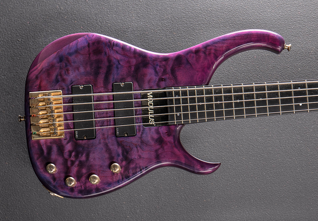 Quantum 5 String Bass &
