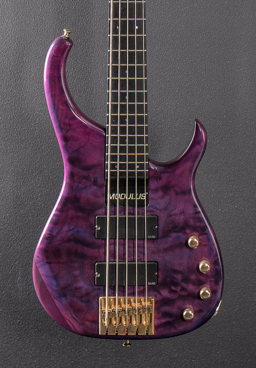 Quantum 5 String Bass &