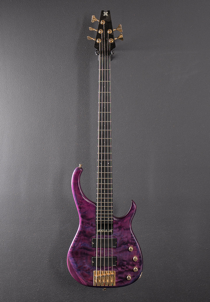Quantum 5 String Bass &