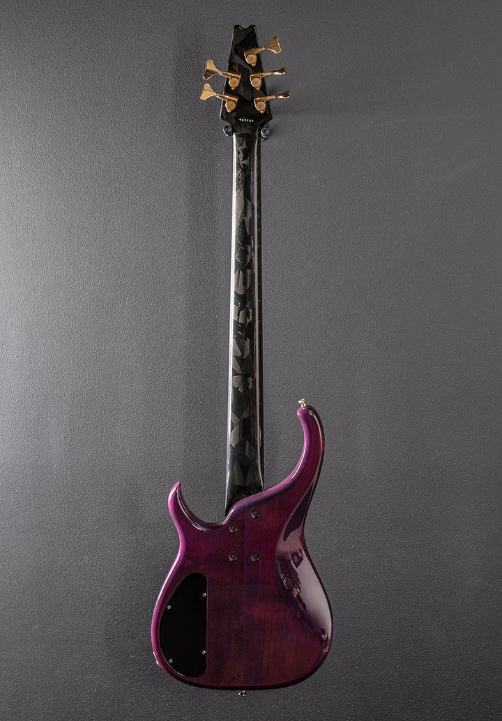 Quantum 5 String Bass &
